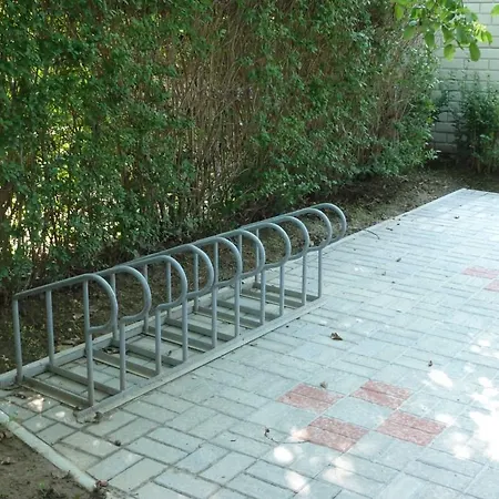 - Balaton 20084 * Balatonszarszo